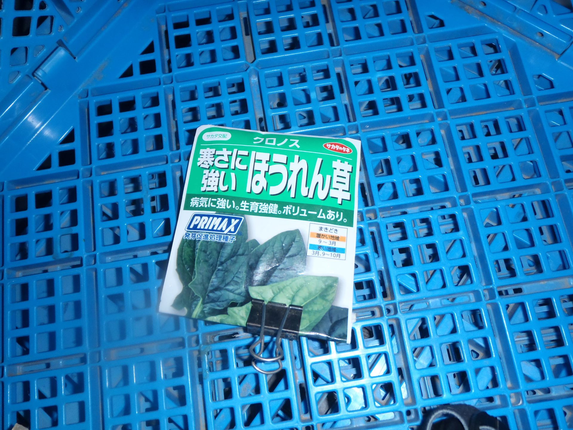 ほうれん草　220323